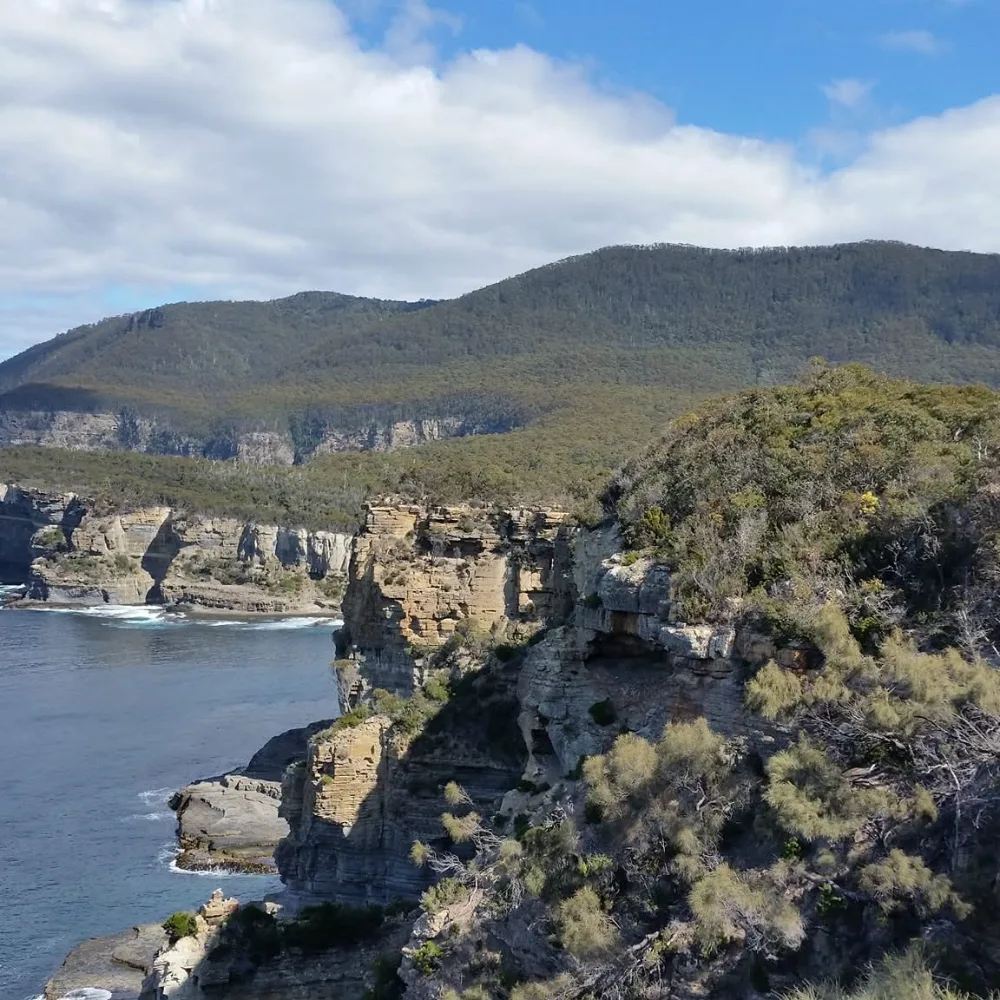 Green headland and sandstone cliffs above the sea